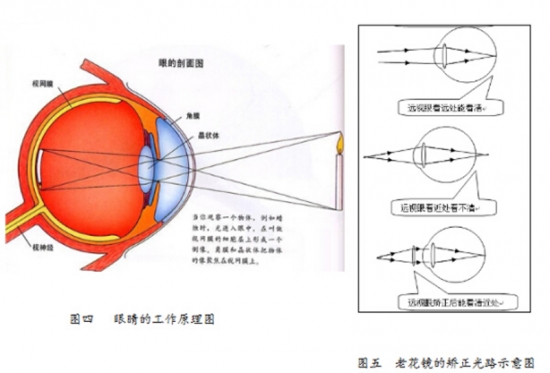 美麗島眼鏡：老花鏡不可隨意亂帶，需要在專業(yè)驗光后科學(xué)配制